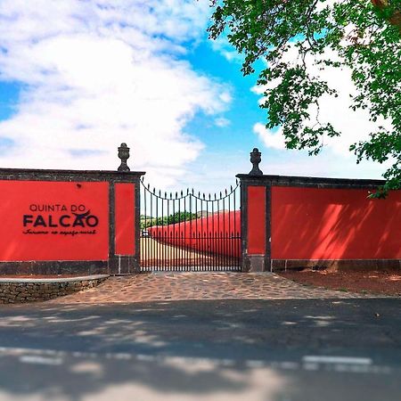 Quinta Do Falcao Almagreira  Εξωτερικό φωτογραφία