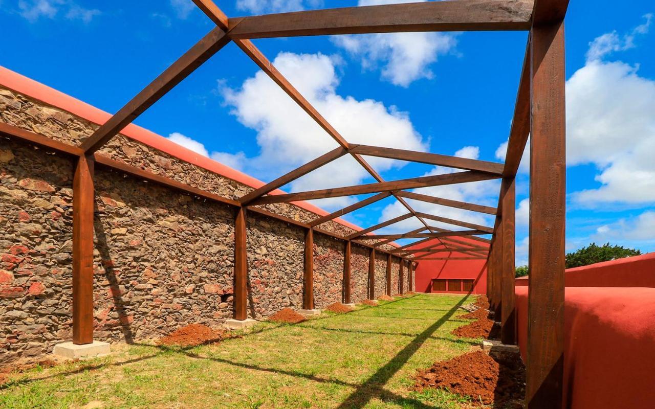 Quinta Do Falcao ξενώνας Almagreira  Εξωτερικό φωτογραφία